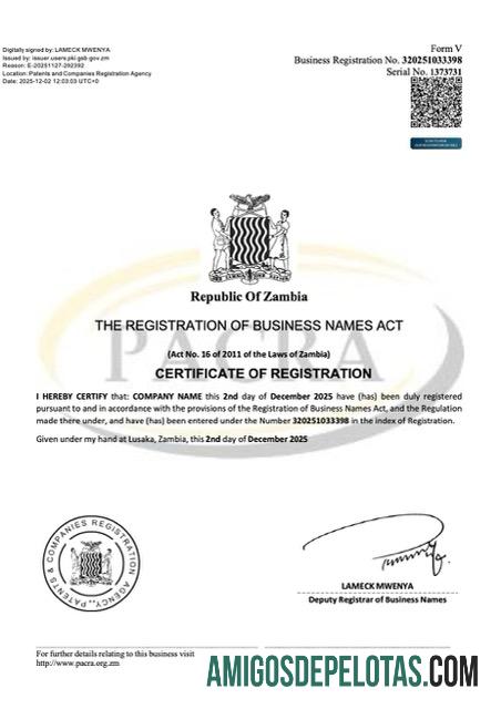 Certificado realista de registro de nome comercial da Zâmbia, modelo Word e PDF